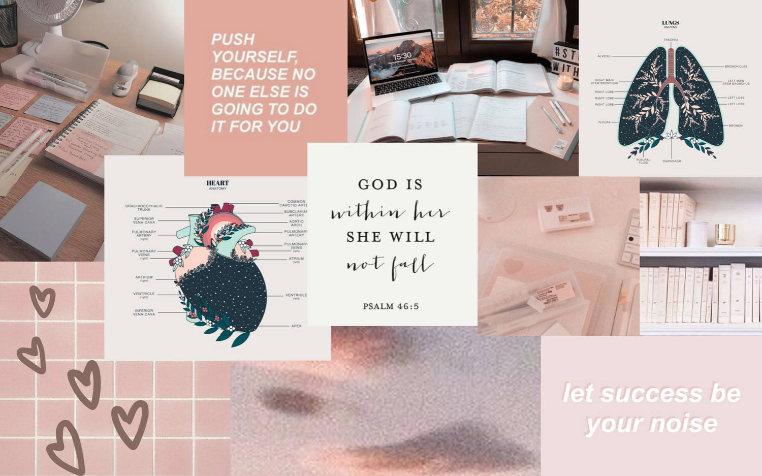 A mood board featuring study inspiration with pastel pink aesthetics, anatomical heart and lung diagrams, motivational quotes, and cozy study spaces