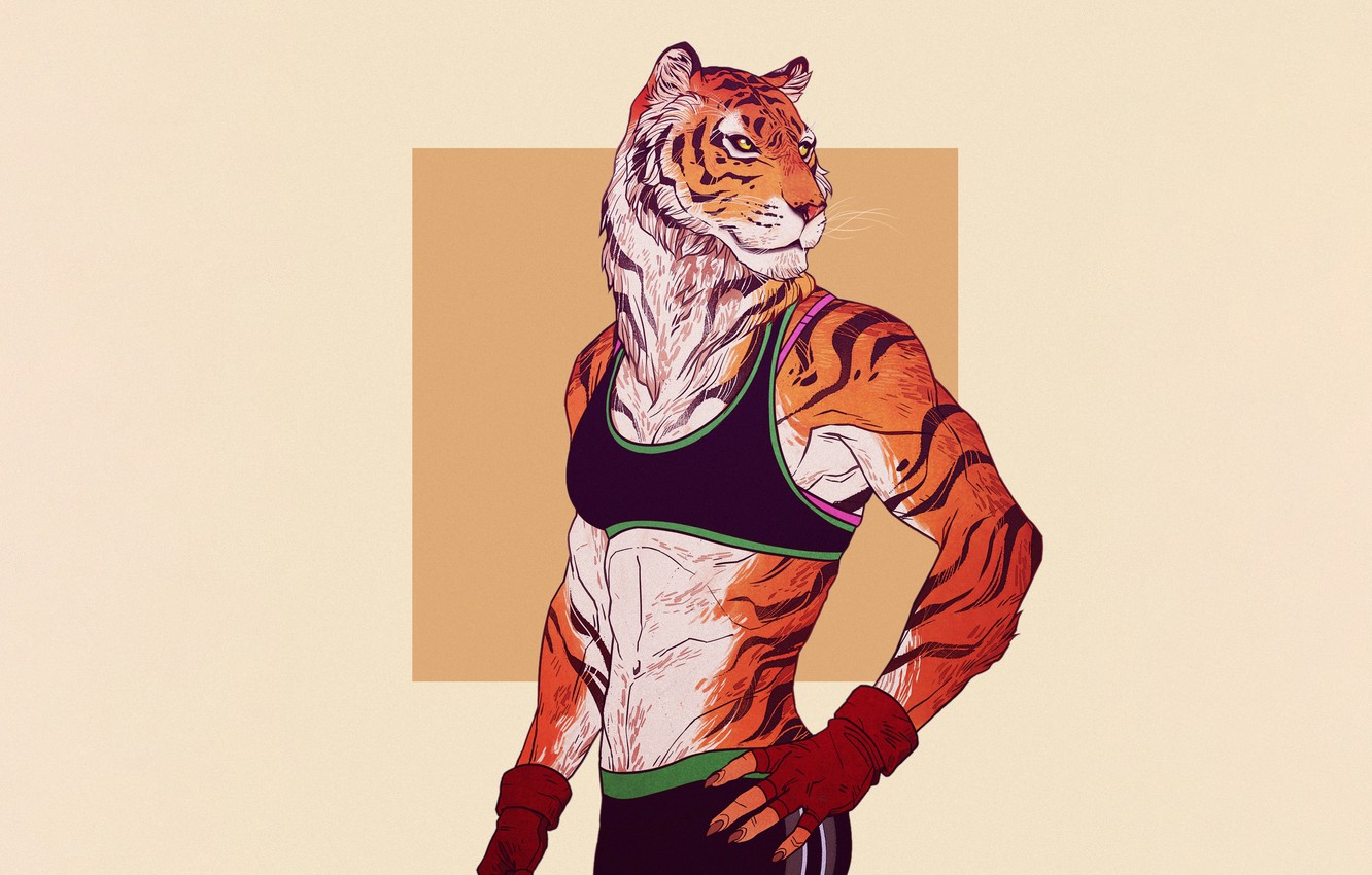 Wallpaper Minimalism Tiger Cat Style Background Art