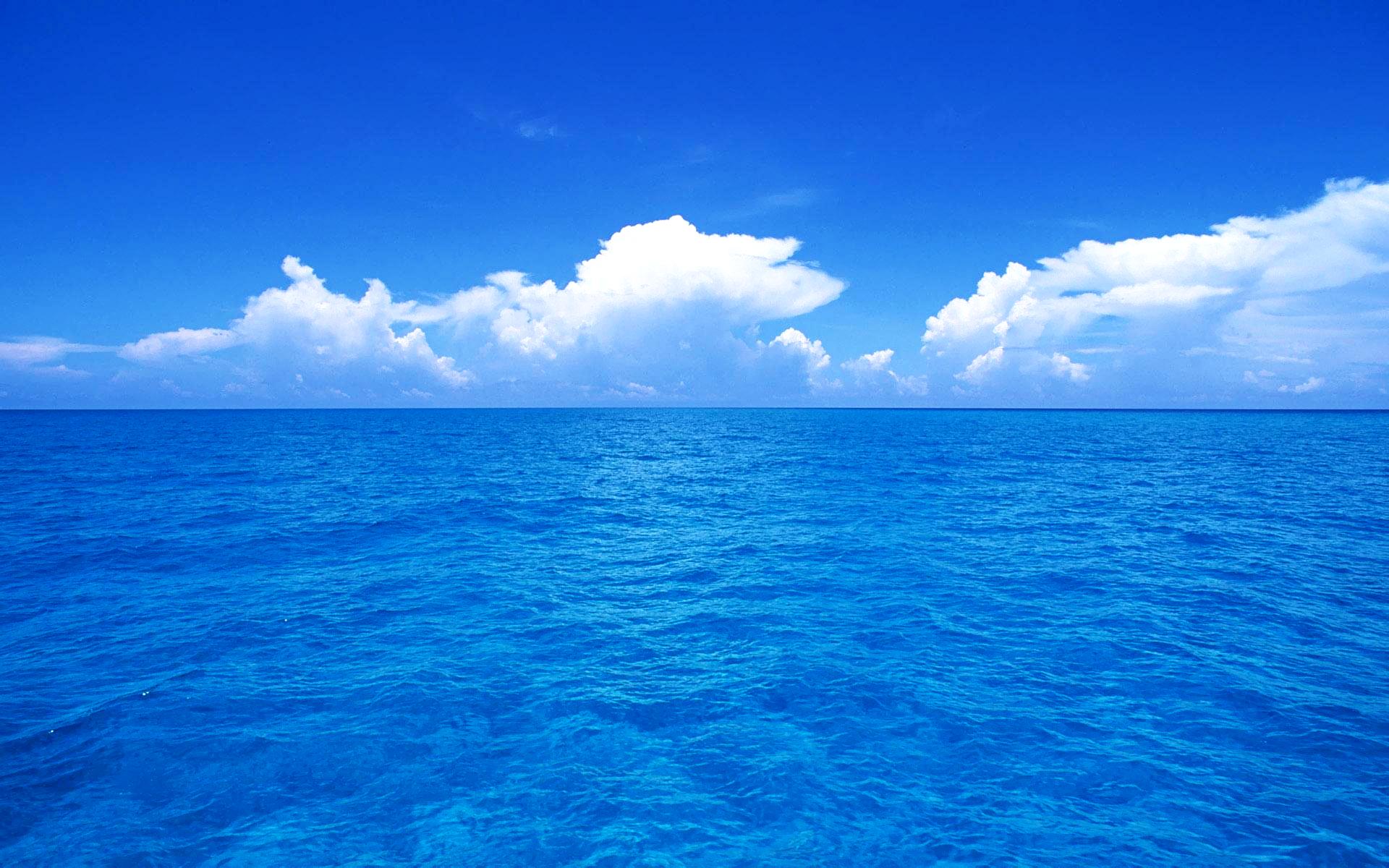 Pics Photos   Dynamic Ocean Scenes Desktop Wallpaper