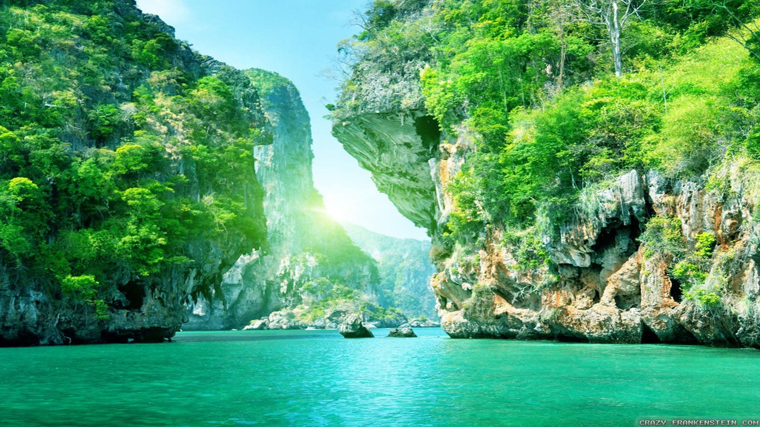Nature Wallpaper