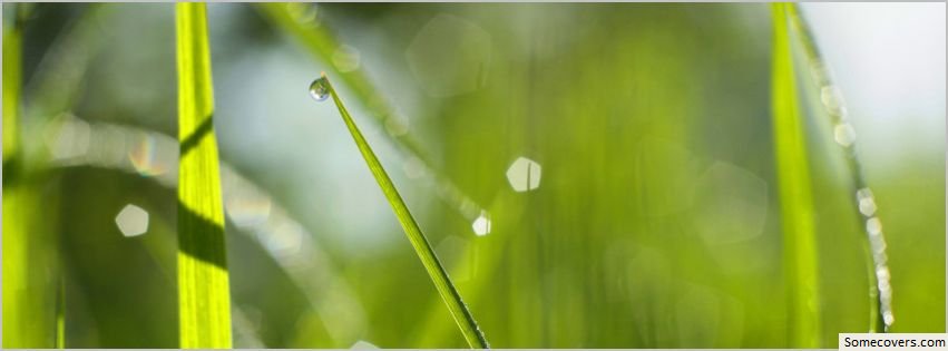 Green Wallpaper Timeline Cover Covers Myfbcovers