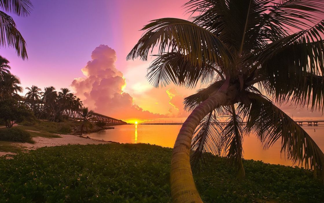 Sunset Landscapes Nature Florida Palm Trees Parks Sea Wallpaper