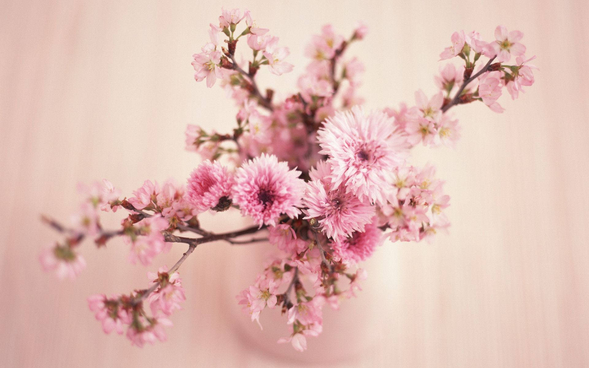 Floral Desktop Wallpaper