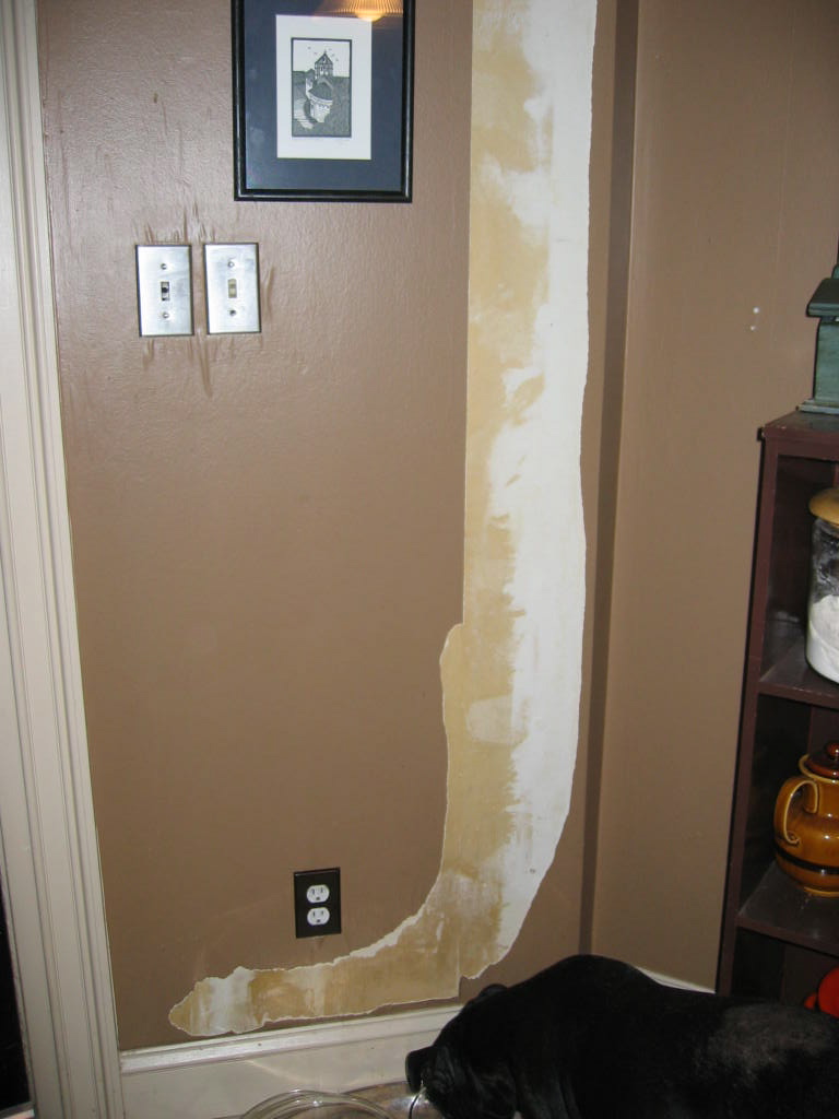 Free download Paper removed revealing bare drywall [768x1024] for your