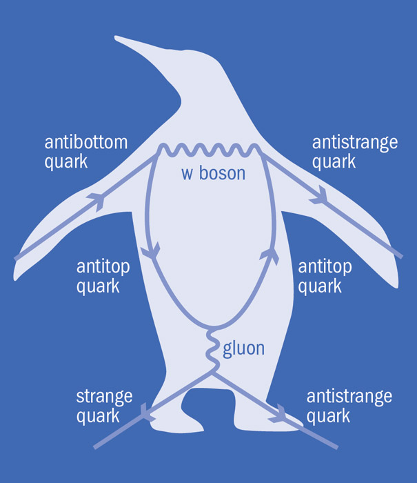 Penguin Diagram Search Pictures Photos