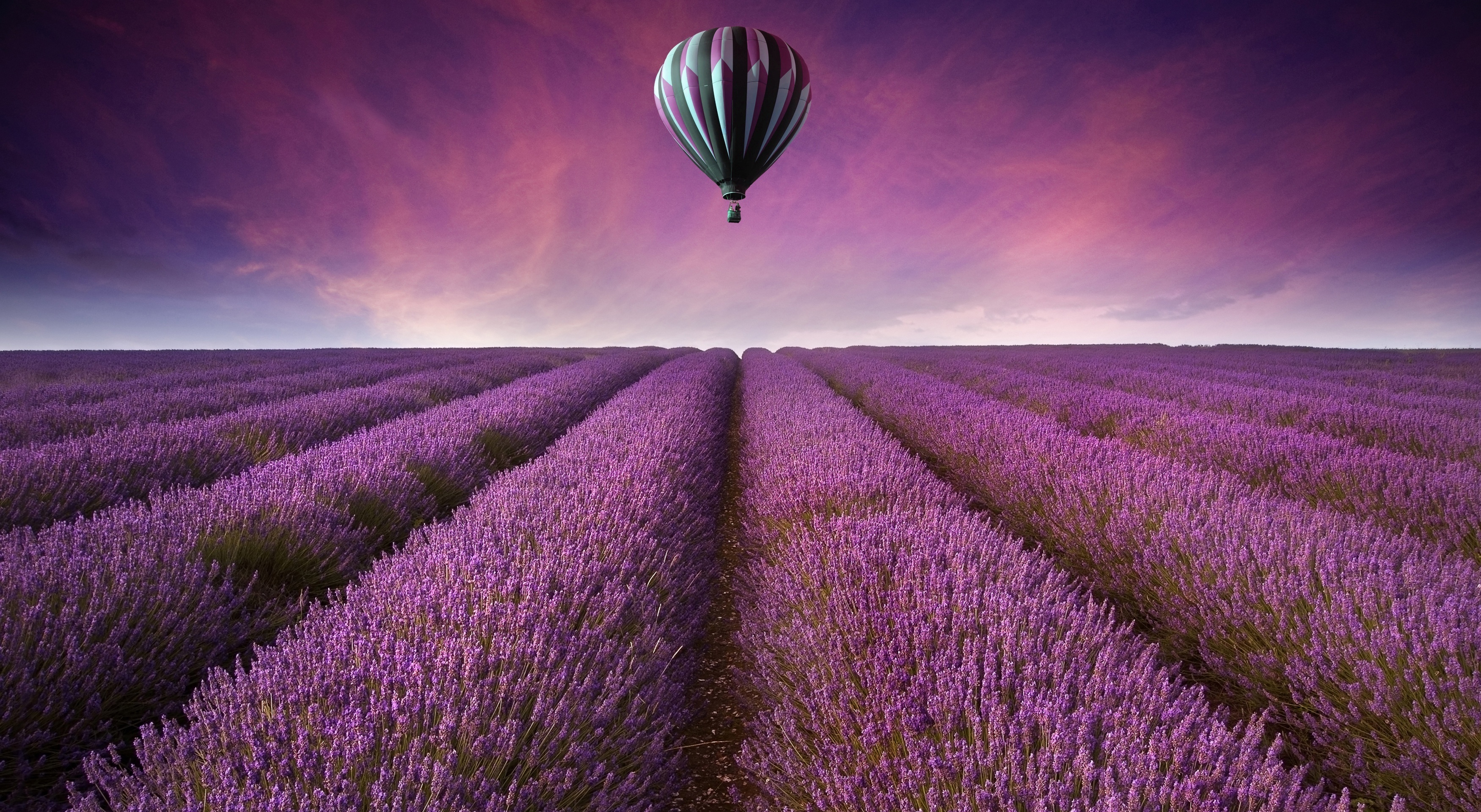 Nature Landscape Field Fields Air Balloon Flowers Purple Sky Wallpaper