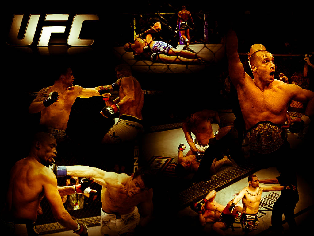 Ufc Ultimate Fighting Championship Mma Mixed Martial Arts Wallpaper