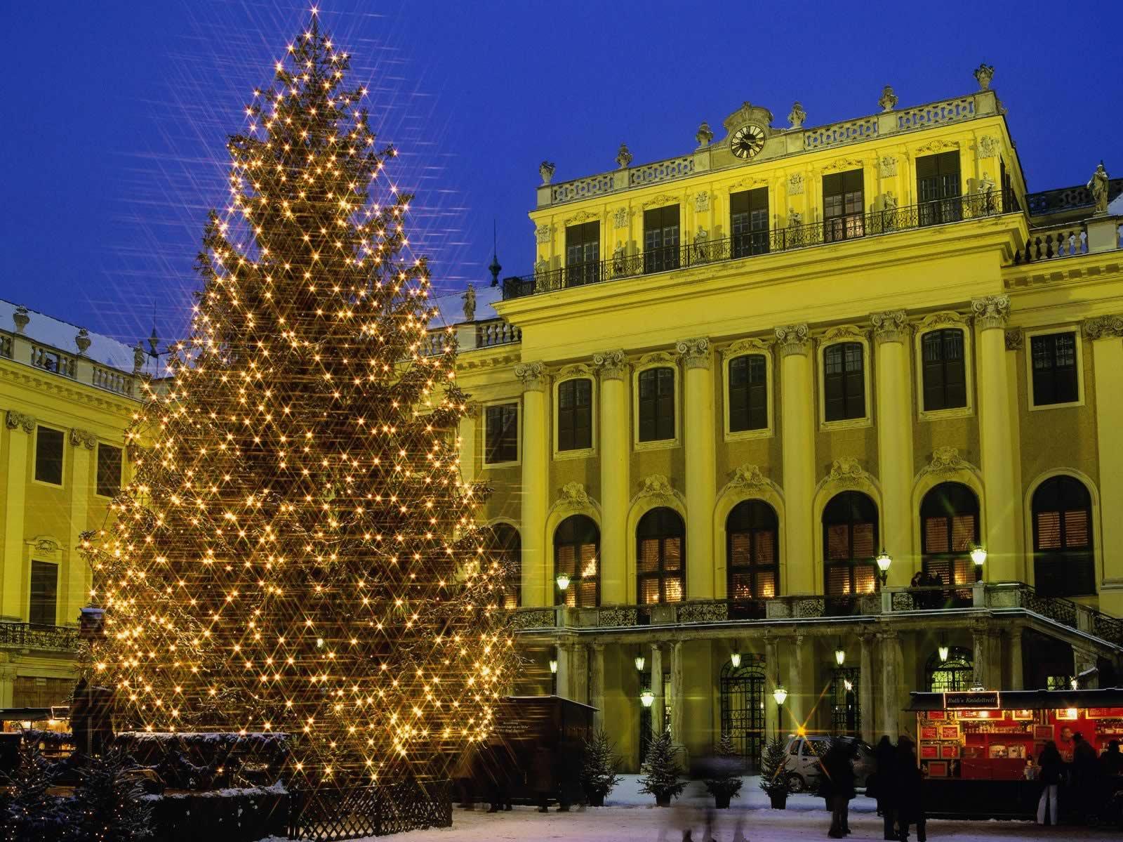 Schonbrunn Palace Vienna Austria Christmas Trees