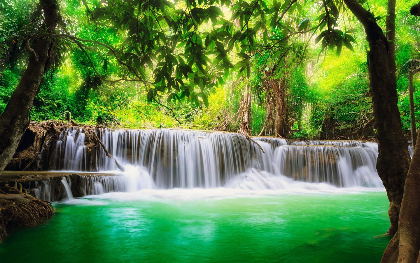 Green Tropical Waterfall Desktop Background