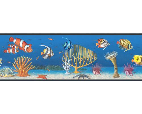 Tropical Fish Border Image Search Results