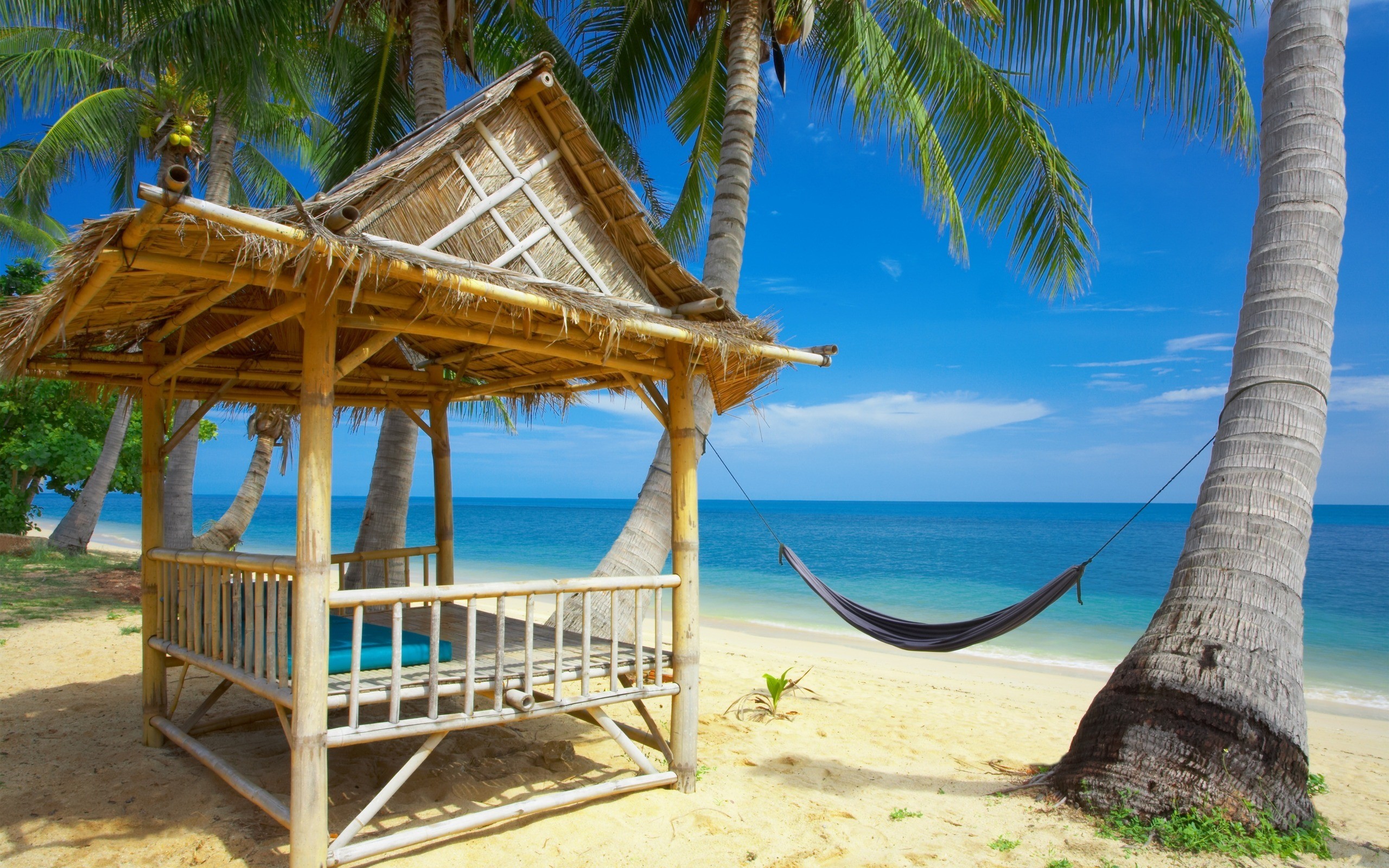 Summer Background Full Hd Desktop High Definiton