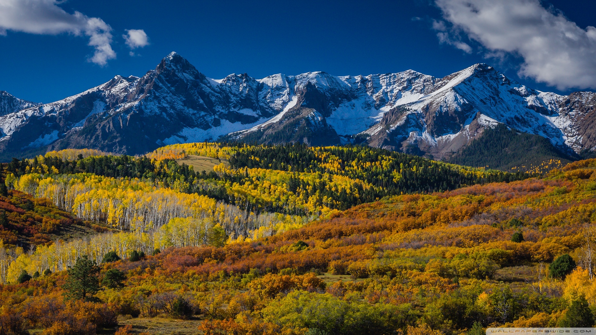 Aspen Colorado Wallpaper Mountain Landscape In