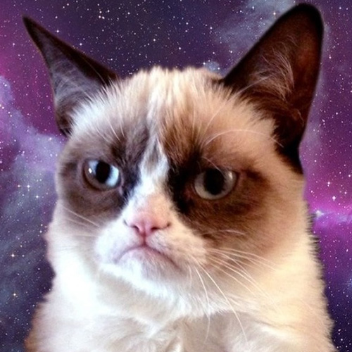 Grumpy Cat Galaxy iPhone 5 Wallpaper