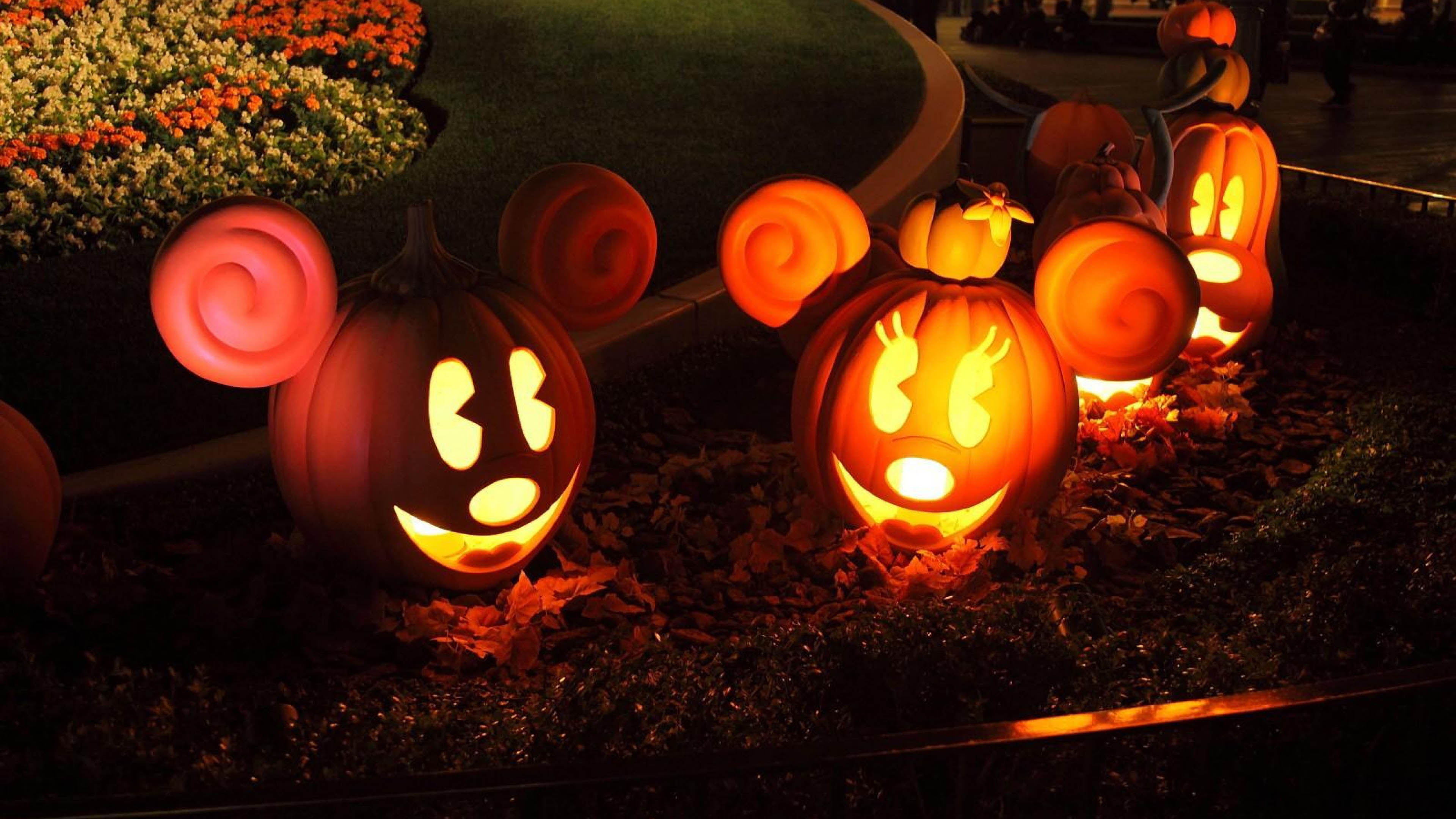 Illuminated Mickey and Minnie Mouse pumpkin carvings at a Disney Halloween event