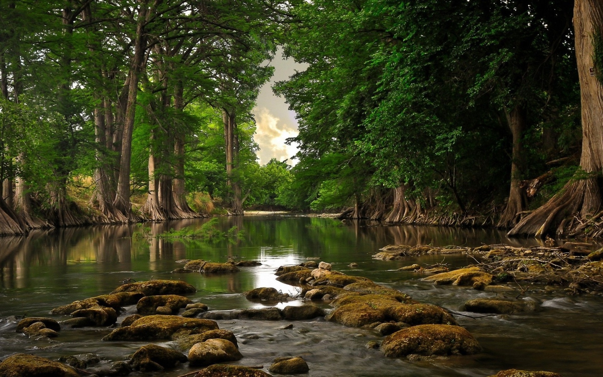  water trees forest jungle reflection rocks sky clouds leaves wallpaper