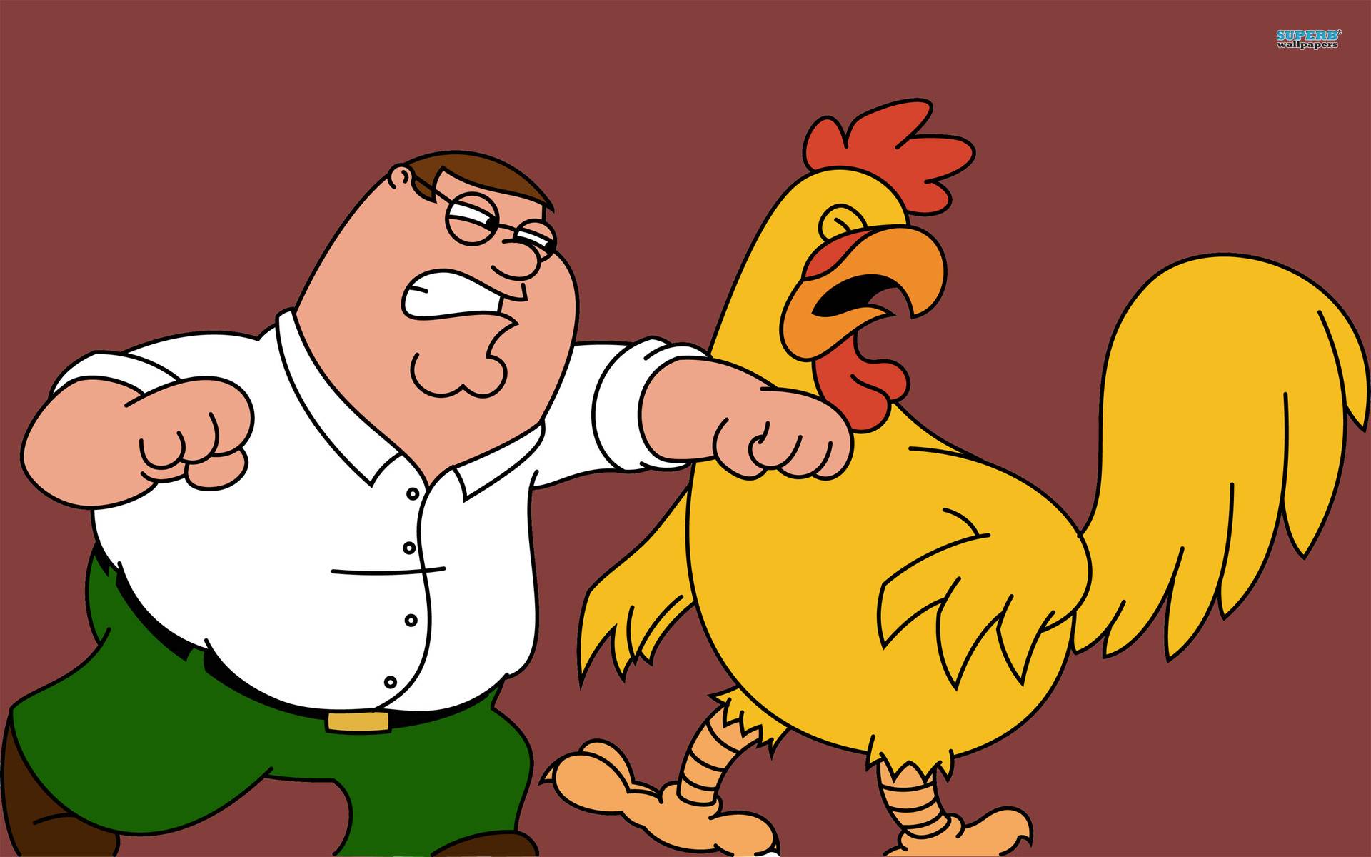 Peter Peter in a chicken fight