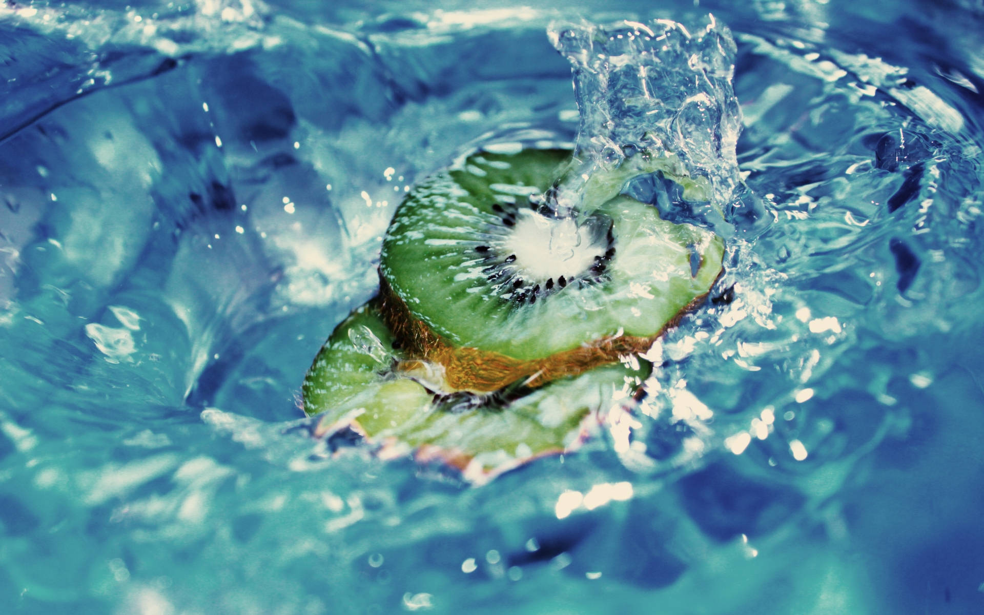 Top Kiwi Wallpaper Full HD 4k To Use