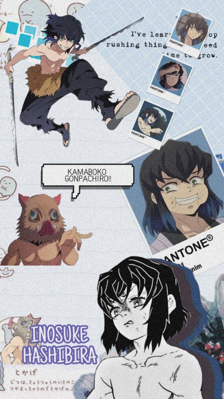 Demon Slayer Wallpaper Inosuke