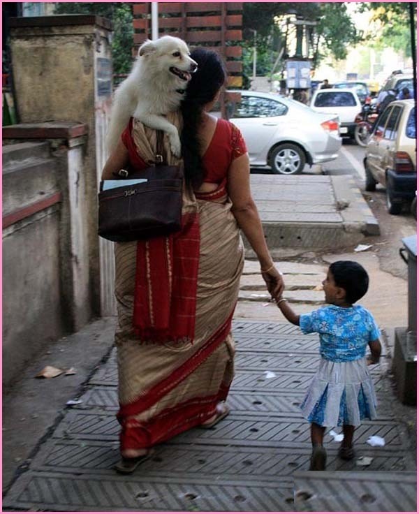 Funny Pictures Of Indian People