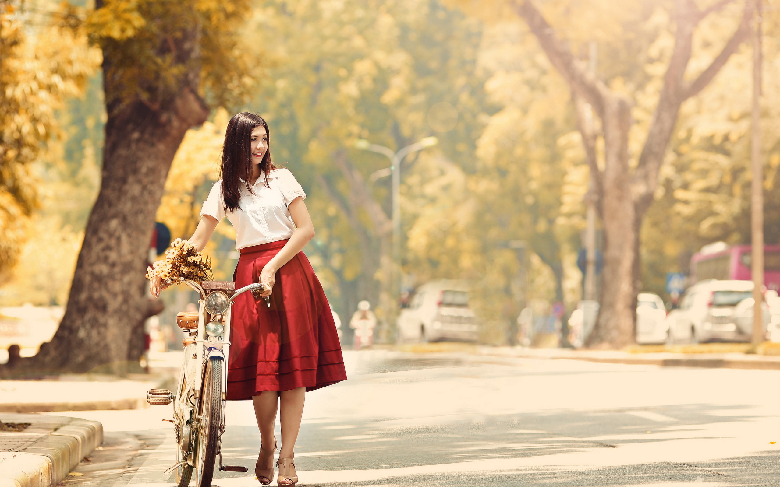 Vintage Bicycle Classic Red Dress Summer Street Autumn Wallpaper Jpg