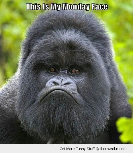 Angry Gorilla Face