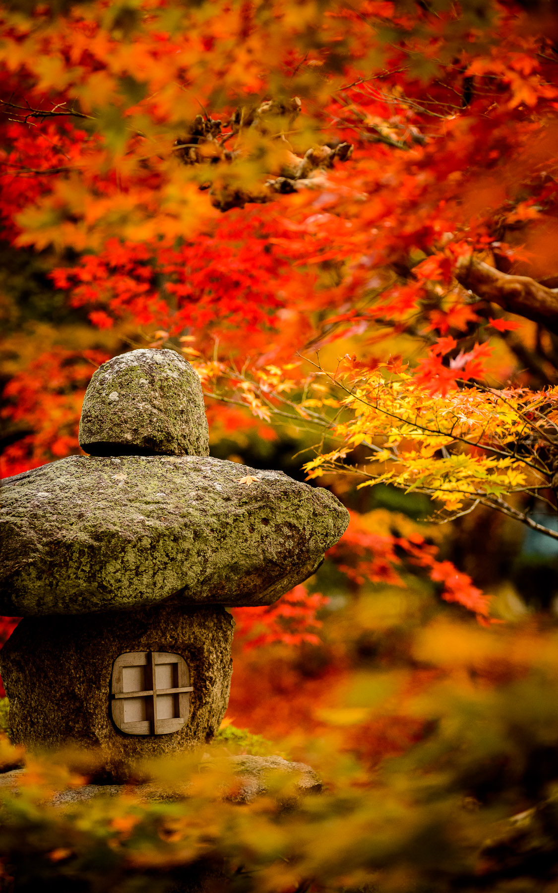 Jeffrey Friedl S More Japanese Garden Desktop Background