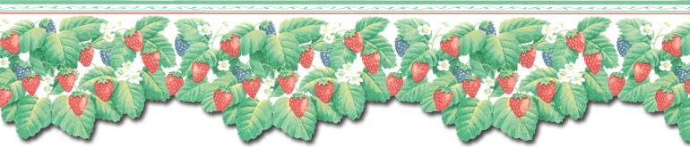 Details About Die Cut Kitchen Strawberries Wallpaper Border Rch02204d