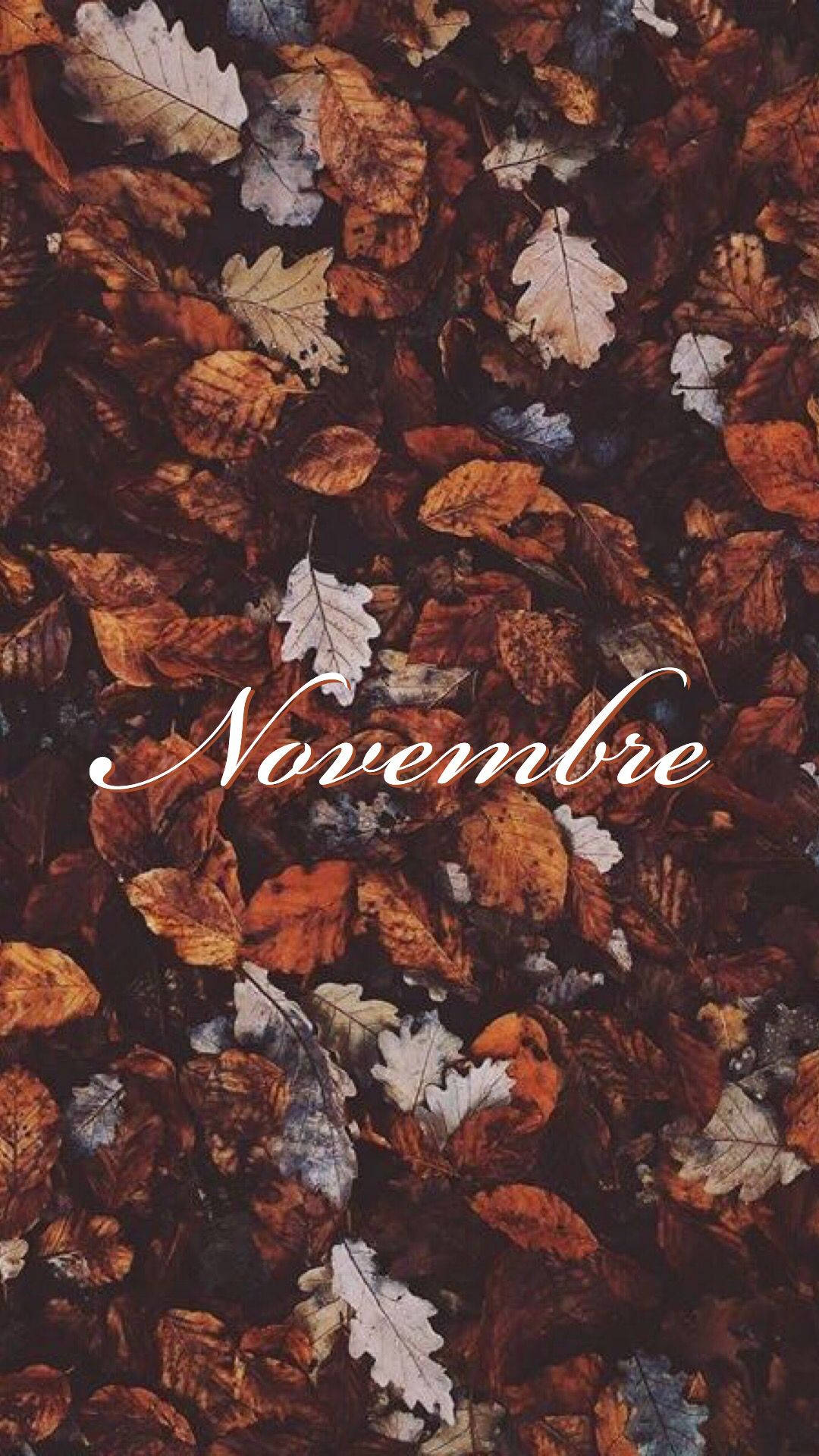 November iPhone Wallpaper
