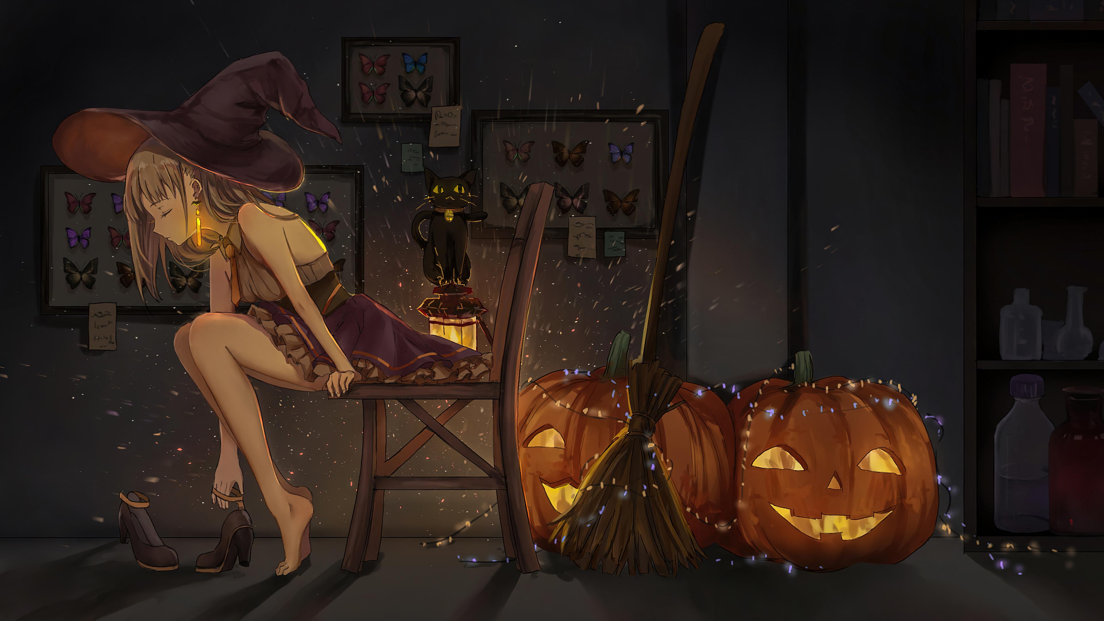 Witch Cat Halloween Pumpkin 4k Wallpaper iPhone HD Phone 4070h