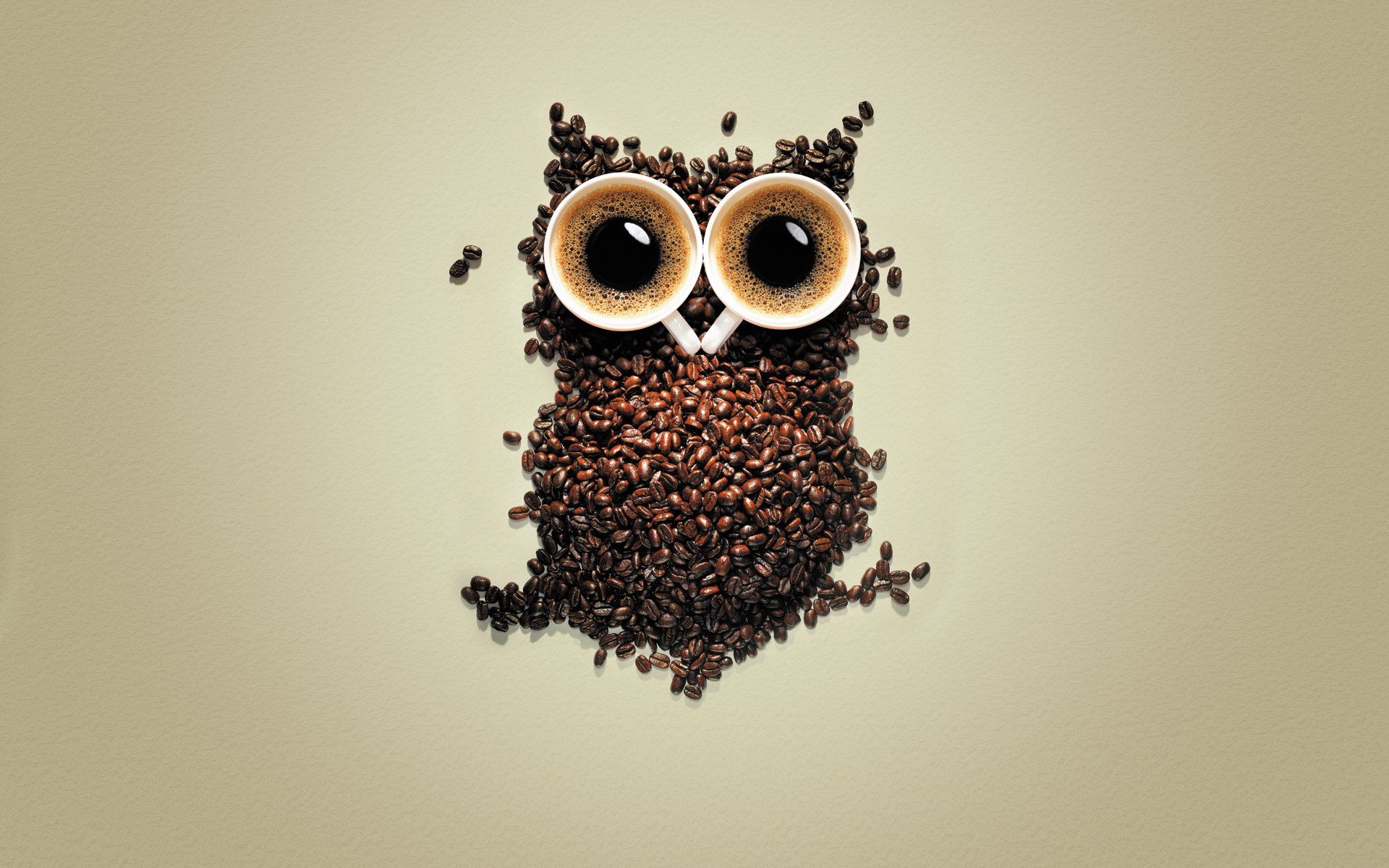  Coffee Owl Google Wallpapers Night Coffee Owl Google Backgrounds