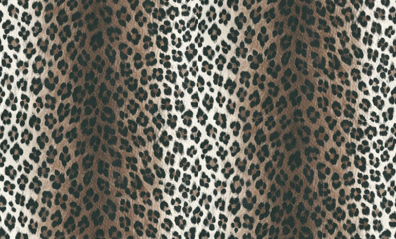 HD Animal Print Wallpaper