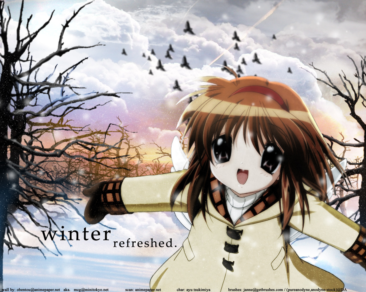 Kanon Image Winter Refreshed HD Wallpaper And Background