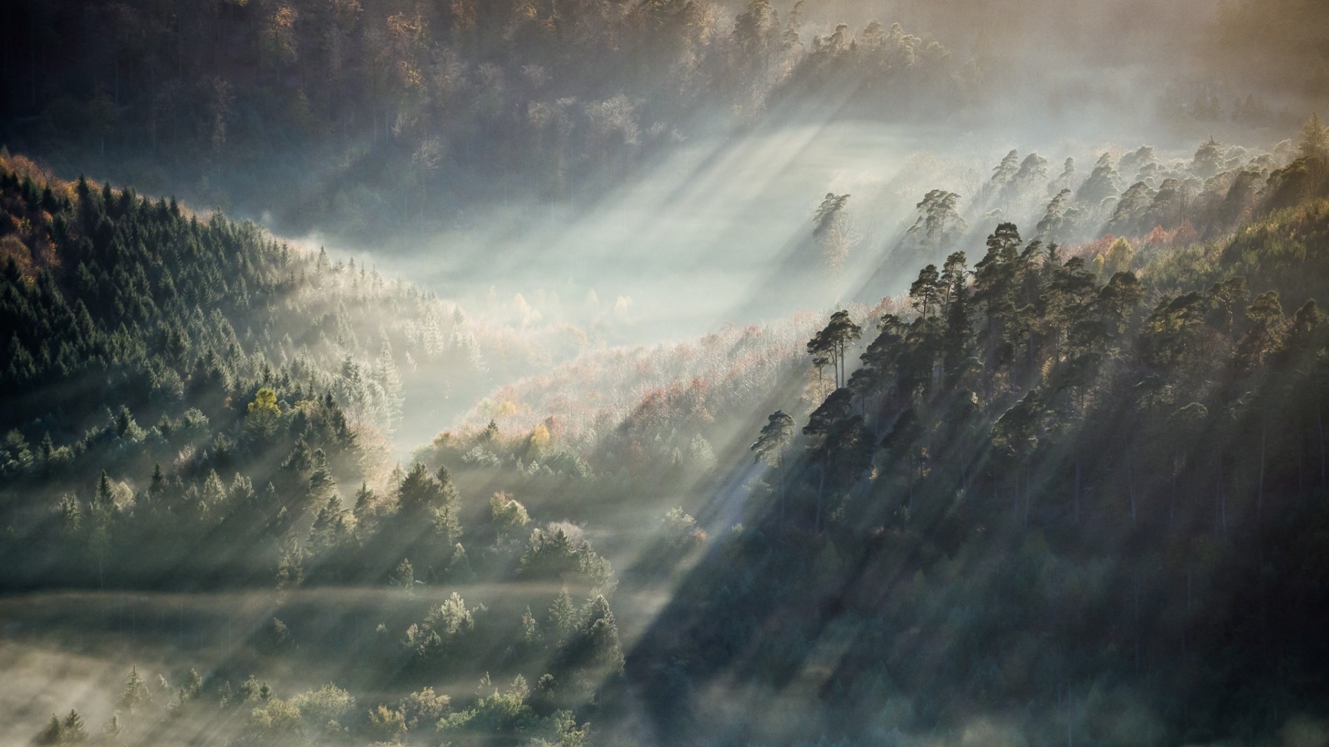Sunbeams pierce through the morning mist, illuminating a lush, rolling valley filled with coniferous and deciduous trees, creating a serene and picturesque scene ideal for a computer wallpaper