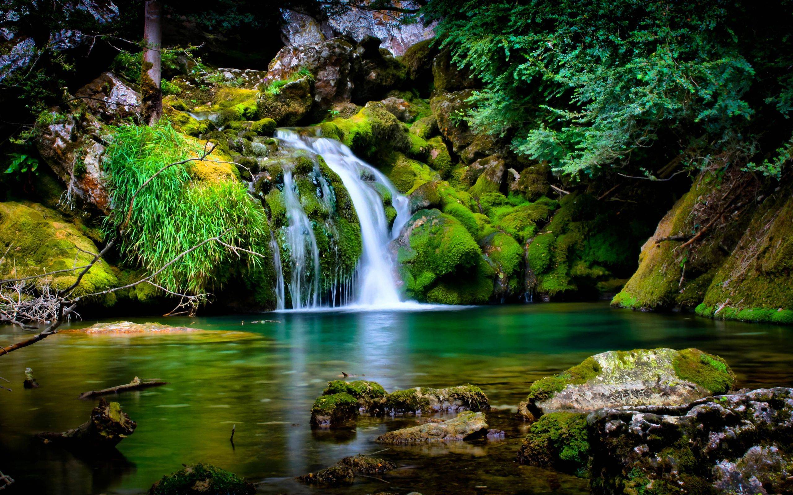 Beautiful Forest Waterfall   Beautiful pictures Wallpaper