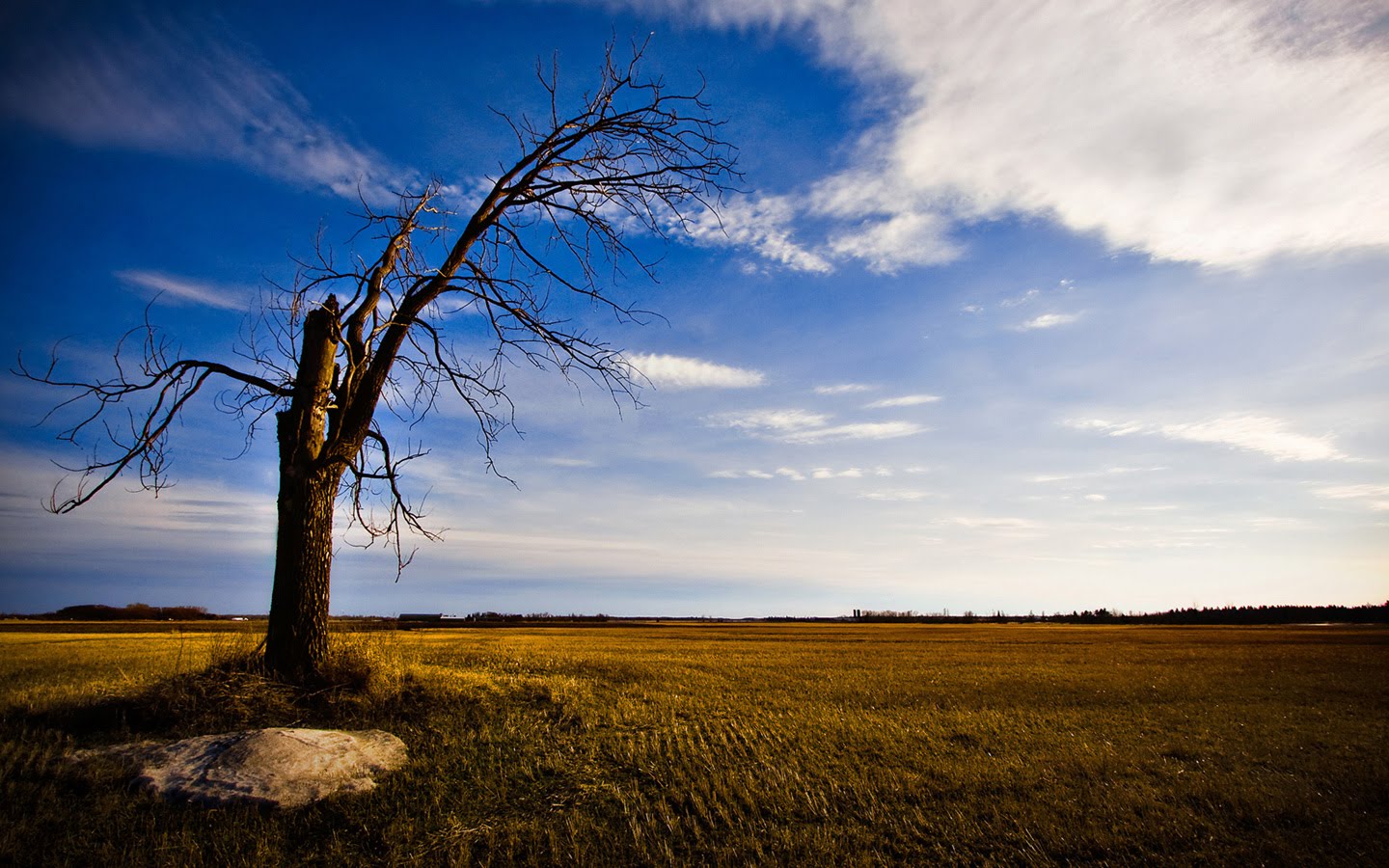 Zen Wallpaper Widescreen
