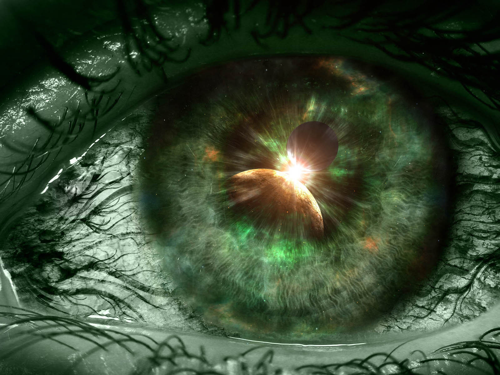 Eyes Image Eye Wallpaper HD And Background