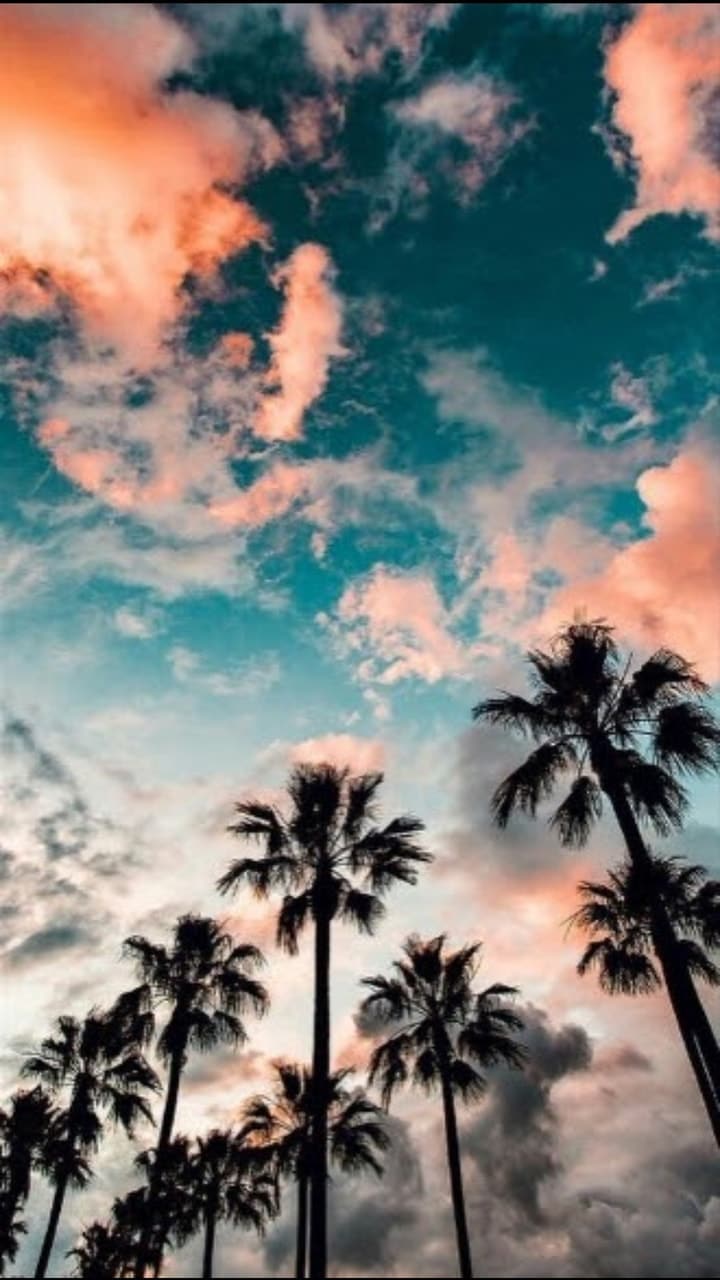 Summer aesthetic wallpaper by kaelyn8310  Download on ZEDGE  158d