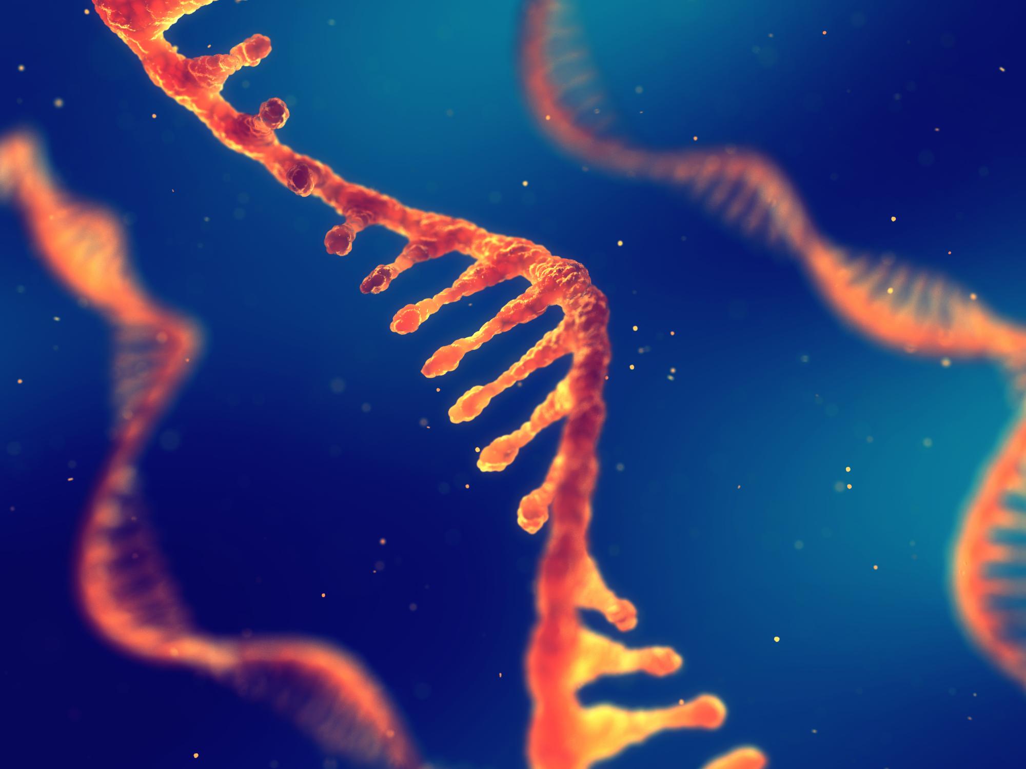 Extending Rnaspades Functionality For Hybrid Transcriptome Assembly