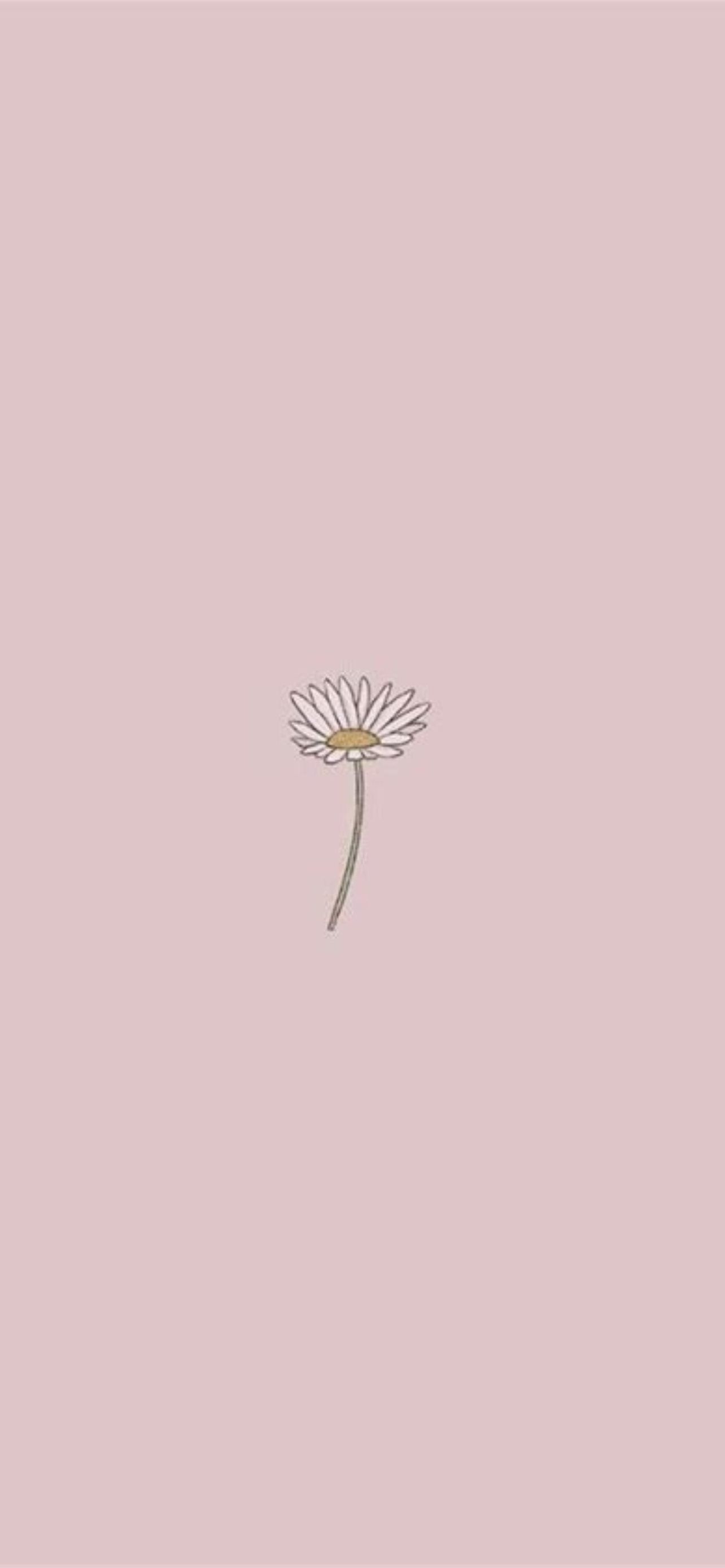 Tiktok Aesthetic Wallpaper