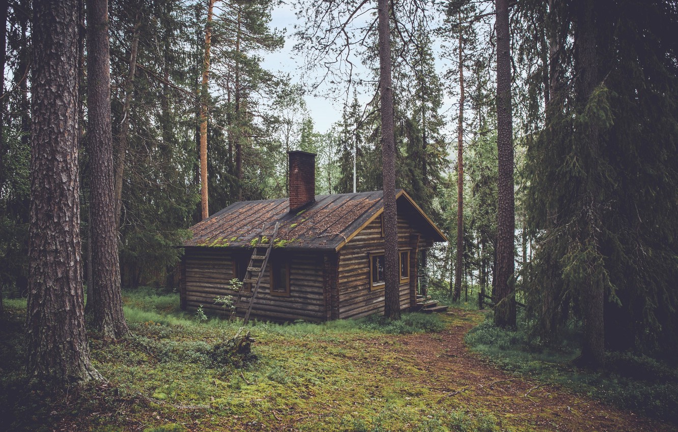 Wallpaper House Forest Trees Nature Woods Chalet Hut Image