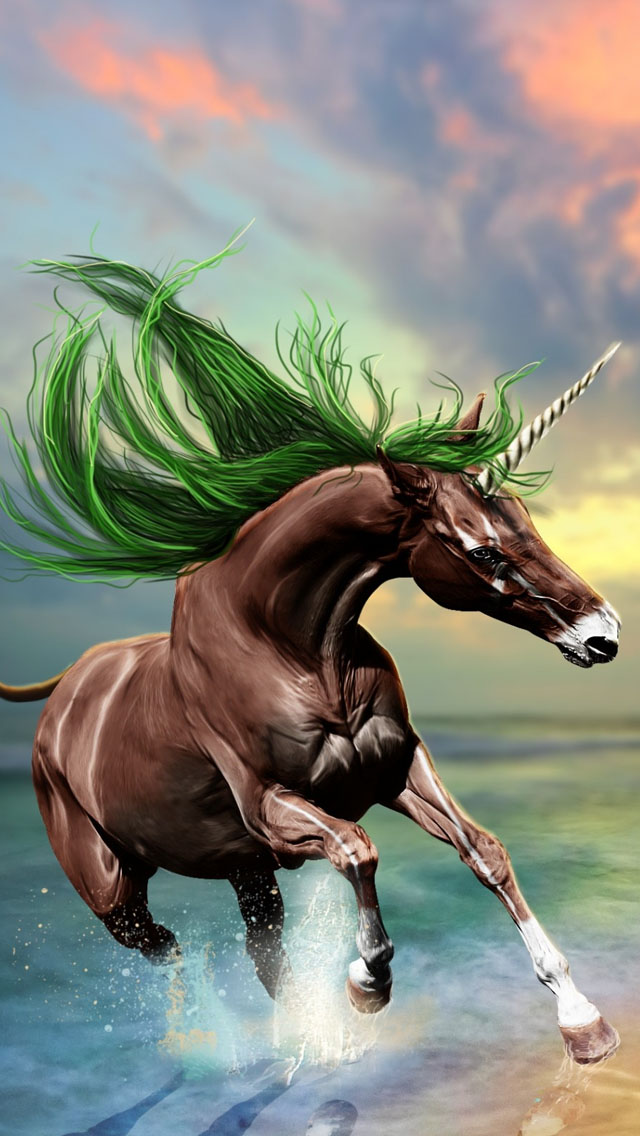 Young Horse iPhone 5s Wallpaper iPad