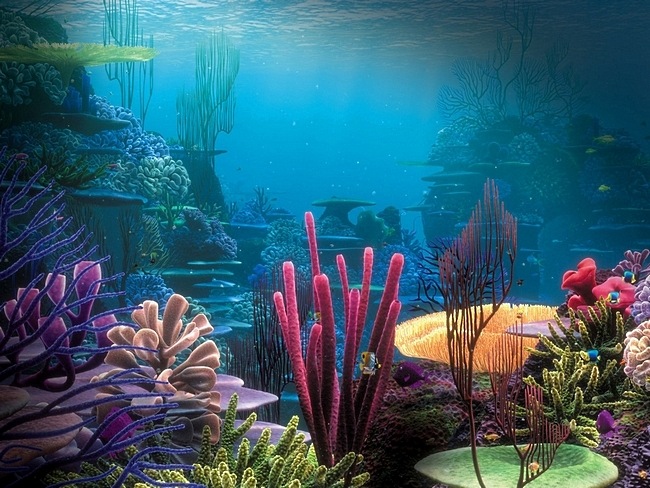 Della Knox coral reef wallpaper