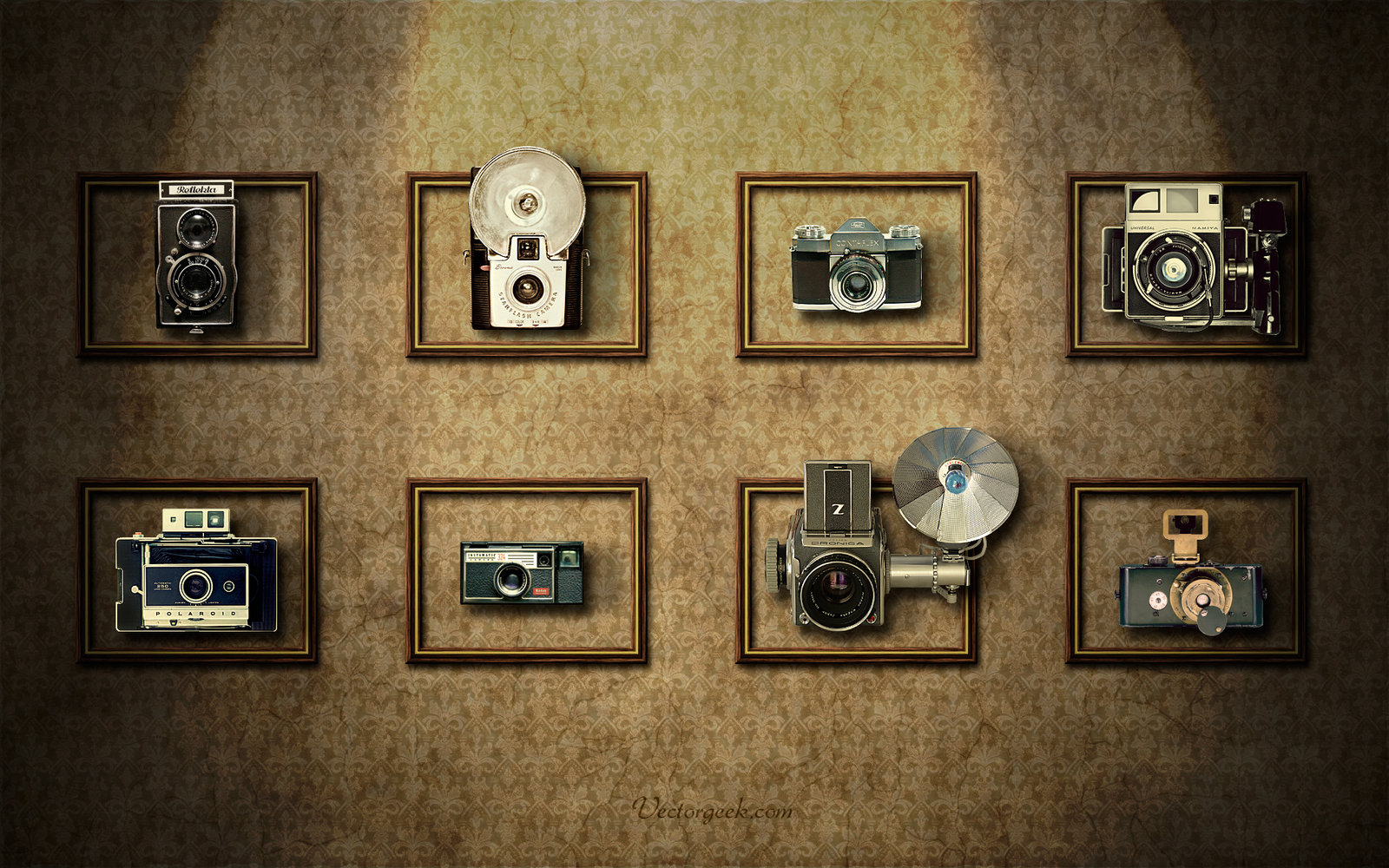 Vintage Camera Wall by vectorgeek on