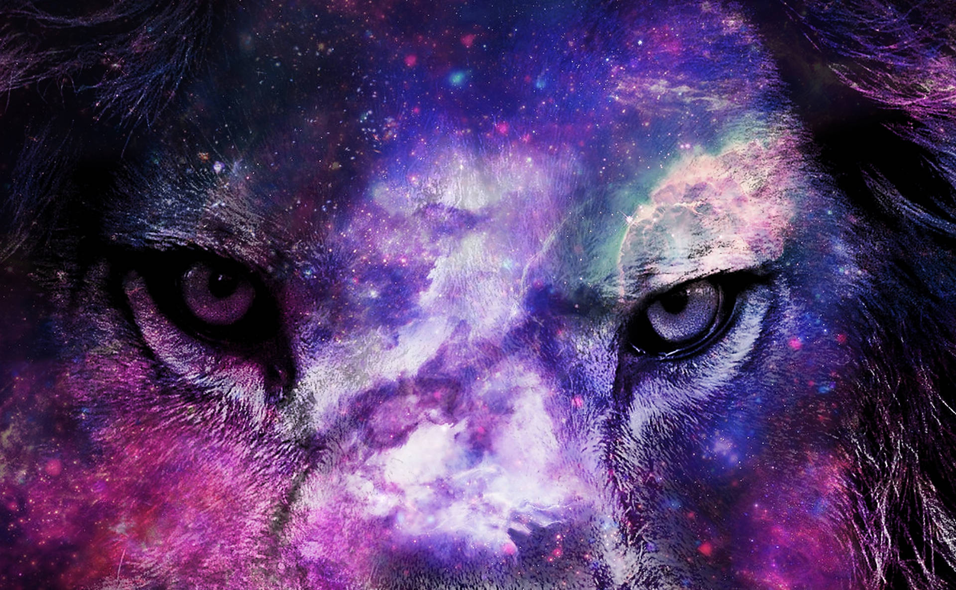Galaxy Lion Wallpaper