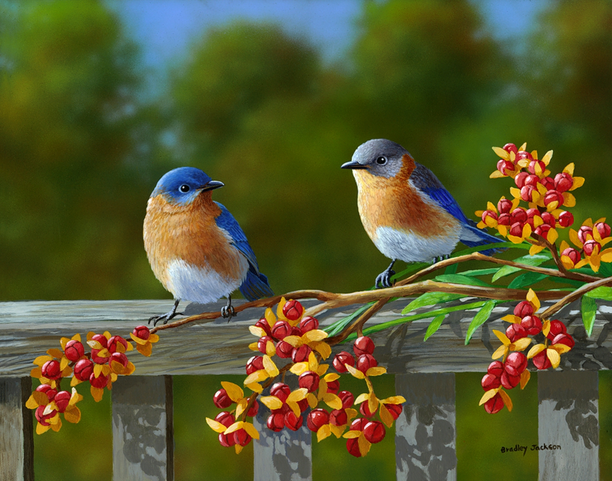 Spring Birds Wallpaper
