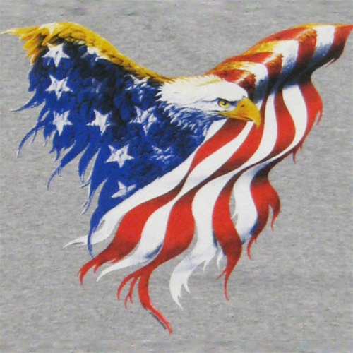 Flag Eagle Wings Mens T Shirt
