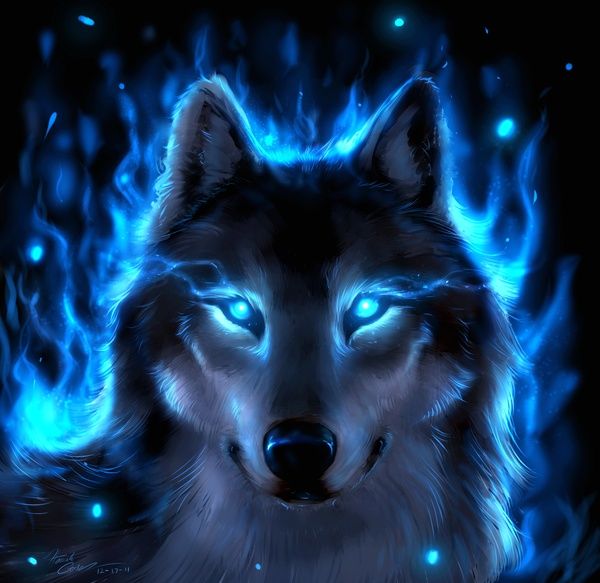 Best Ideas About Fantasy Wolf
