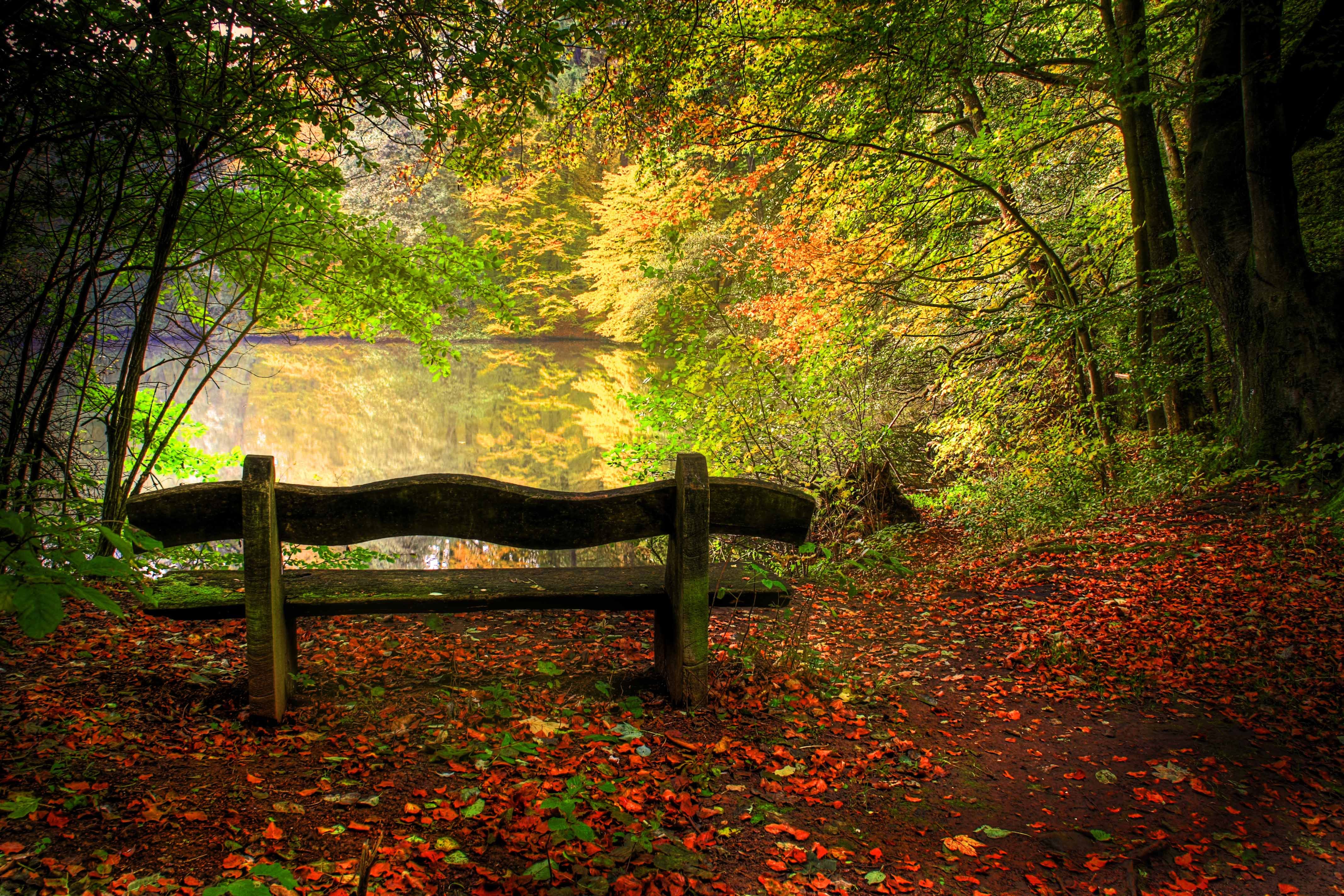 Autumn HDr Beautiful Beauty Benches Cool Fall Foliage
