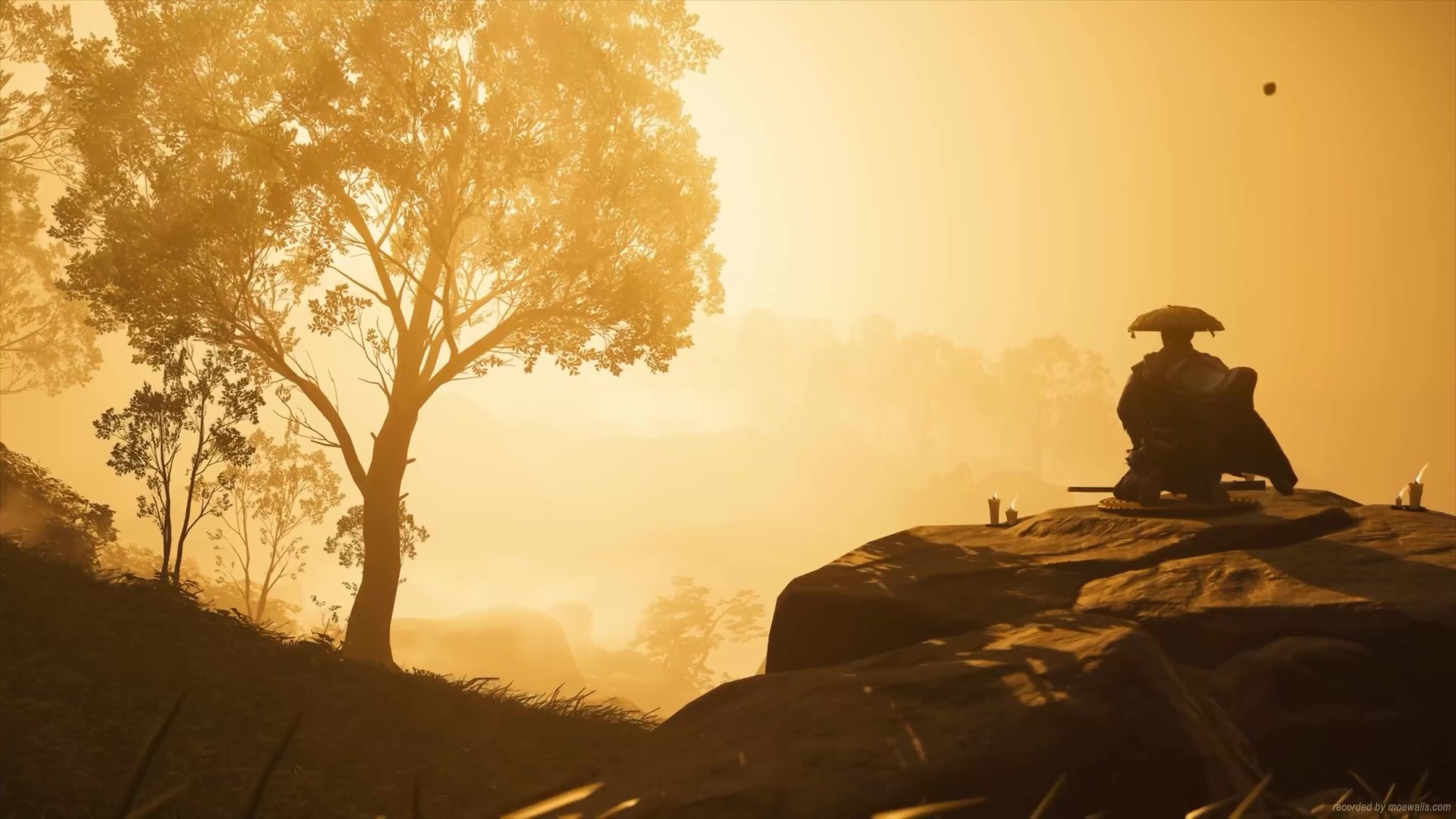 Meditating Ghost Of Tsushima Live Wallpaper