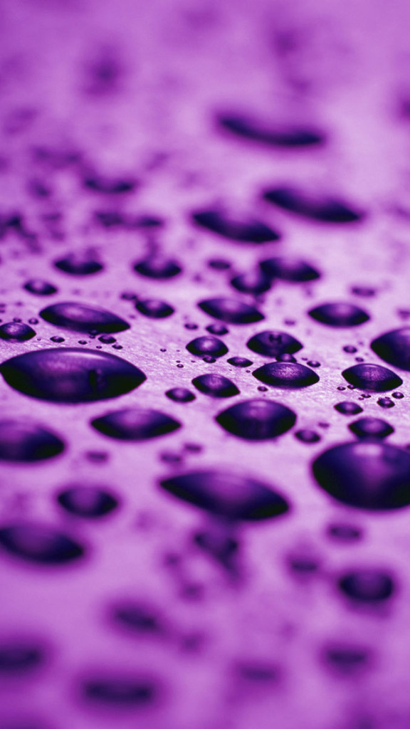 Purple Drops iPhone Plus And Wallpaper